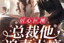居心叵测:总裁他追妻上瘾免费阅读,居心叵测:总裁他追妻上瘾章节在线阅读-干果文学