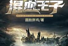 西弗勒斯·斯内普赫敏·格兰杰为主角的小说叫什么?免费看霍格沃茨的混血王子-干果文学