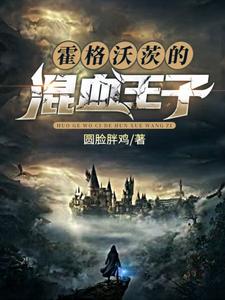 西弗勒斯·斯内普赫敏·格兰杰为主角的小说叫什么？免费看霍格沃茨的混血王子
