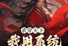 哪里能找到杀穿天下:我用系统收复天下小说的全部章节?-干果文学