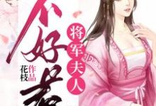 秋漫徐止然为主角的小说好看吗?求将军夫人不好惹免费试读-干果文学