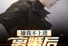 嫌我不上进?离婚后我开挂了小说的免费阅读版本在哪里可以找到?-干果文学