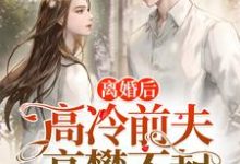 闻霜傅霆为主角的小说好看吗?求离婚后,高冷前夫高攀不起免费试读-干果文学