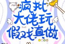 假结婚,疯批大佬玩假戏真做?小说的所有章节都能在哪里免费读到?-干果文学