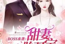 免费在线阅读BOSS来袭:甜妻一胎双宝小说的正规网站有哪些?-干果文学