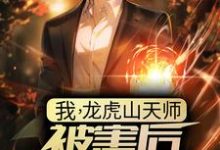 主角叫 叶玄林清影小说我,龙虎山天师,被害后傻了三年?章节免费阅读-干果文学