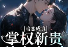 苏蕴商时序小说在线章节免费阅读(暗恋成真:掌权新贵他官宣了无弹窗无删减)-干果文学