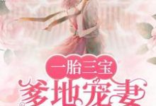 完结版《一胎三宝,爹地宠妻超给力》在线免费阅读-干果文学