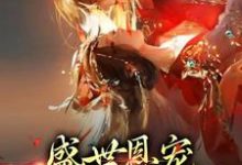 盛世恩宠:皇上你太粘人小说有没有完结版在线?-干果文学