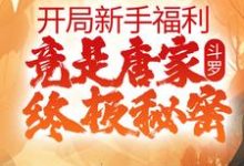 寻找能够免费阅读斗罗:开局新手福利,竟是唐家终极秘密小说的平台-干果文学