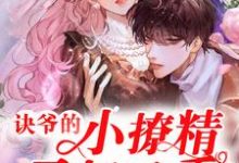 诀爷的小撩精又奶又香小说全文哪里可以免费看?-干果文学
