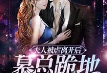 乔汐慕霆川为主角的小说好看吗?求夫人被虐离开后,慕总跪地求复合免费试读-干果文学