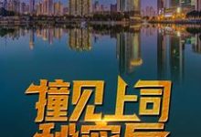 撞见上司秘密后,他平步青云了免费阅读,撞见上司秘密后,他平步青云了章节目录-干果文学