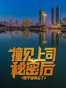 哪里能找到撞见上司秘密后，他平步青云了小说的全部章节？