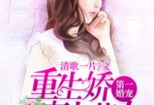 《第一婚宠:重生娇妻太惹火》小说主角顾西邢北岩章节章节免费在线阅读-干果文学