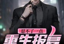 忍不了一点!重生报复杀疯了这本小说怎么样?免费在线阅读试试-干果文学