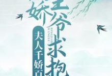 小说《夫人千娇百媚,病娇王爷求抱抱》在线章节阅读-干果文学