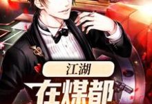 男女主人公苏合小说江湖:在煤都奋斗的日子章节免费阅读-干果文学