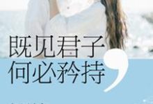 辛云季川彦秋为主角的小说叫什么?免费看既见君子何必矜持-干果文学