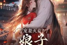 主角盛觅觅小说宠妻灭妾?娘子,我不会啊免费阅读-干果文学