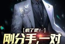 疯了吧!刚分手,一对萌宝找上门小说无弹窗阅读的网站推荐-干果文学
