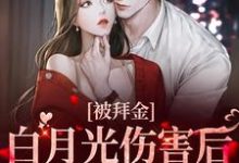 小说《被拜金白月光伤害后,总裁黑化了》在线章节阅读-干果文学