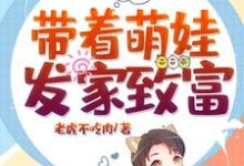 带着萌娃发家致富小说完结版章节免费阅读-干果文学