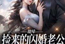 沈洛舟傅砚辞为主角的小说叫什么?免费看甜晕,捡来的闪婚老公居然是首富-干果文学