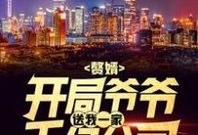 赘婿:开局爷爷送我一家千亿公司小说完结版章节免费阅读-干果文学