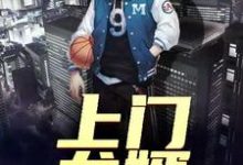 上门龙婿章节免费在线阅读,方忝民叶轻容完结版-干果文学