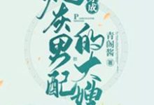 穿成炮灰男配的大嫂小说无弹窗阅读的网站推荐-干果文学
