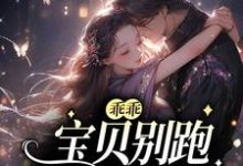 乖乖宝贝别跑,你逃不掉的这本小说在哪里可以看?哪里有免费试读章节?-干果文学