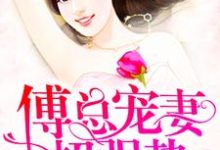 傅总宠妻超强势免费阅读,傅总宠妻超强势章节在线阅读-干果文学