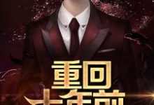 在线寻找韩林宁柔的小说,重回十年前免费阅读-干果文学
