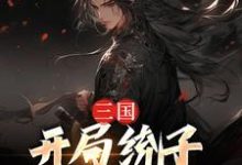三国:开局统子向我投靠小说,三国:开局统子向我投靠章节在线阅读-干果文学