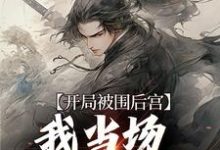 开局被围后宫,我当场登基为帝小说的无弹窗阅读体验,寻找免费阅读网站-干果文学
