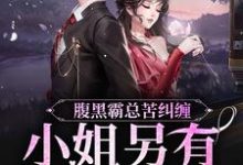 陆慎司沈漾小说在哪里可以看-干果文学
