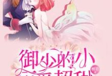小说《御少的小可爱超甜》章节免费阅读-干果文学