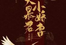 大暴君拎着他的小娇妻走来啦小说的免费电子版在哪里可以下载或阅读?-干果文学