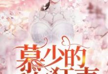 宋星辰慕霆萧小说在哪里可以看-干果文学