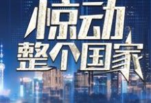 我一通电话,惊动整个国家叶北小说免费阅读-干果文学