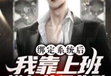 秦寻夏宁为主角的小说好看吗?求绑定系统后,我靠上班摸鱼获得奖励免费试读-干果文学