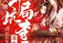 主人公叫林辰李世民的小说哪里免费看-干果文学