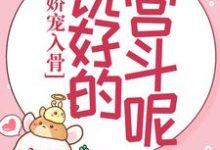 娇宠入骨:说好的宫斗呢?这本小说怎么样?免费在线阅读试试-干果文学