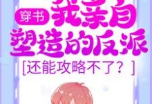 完结版《穿书:我亲自塑造的反派,还能攻略不了?》章节阅读-干果文学