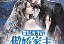 小说《带崽离开后,傲娇家主追妻火葬场》章节免费阅读-干果文学