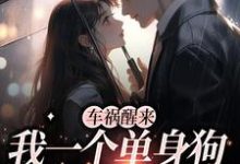 求车祸醒来,我一个单身狗有了娃?小说免费资源-干果文学