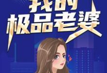 小说《我的极品老婆》章节免费阅读-干果文学