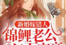 小说《新婚嫁错人,锦鲤老公竟是亿万富豪》章节免费阅读-干果文学