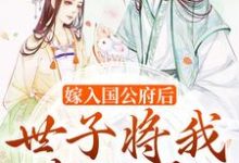 嫁入国公府后,世子将我宠上天小说,嫁入国公府后,世子将我宠上天免费阅读-干果文学